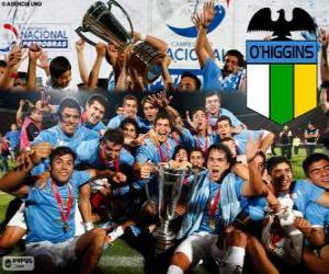 пазл клуб Депортиво О’Хиггинс, Чилийский чемпион Апертура 2013